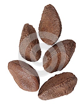 Brazil nuts