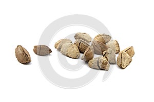 Brazil nuts or Bertholletia excelsa seeds isolated on white