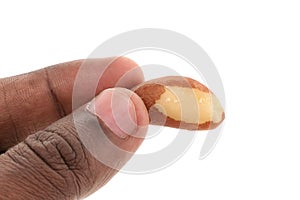 Brazil nuts isolated on white background closeup. Full depth of field