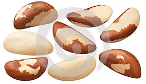 Brazil nuts set #2 isolated on white background