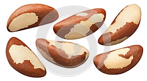 Brazil nuts set isolated on white background