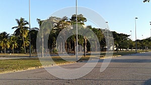Brazil Rio de Janeiro Fundao Island Road Avenue Trees