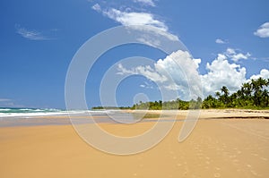 Brazil, Taipu de Fora, beach