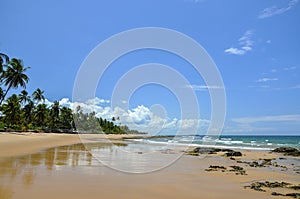 Brazil (Taipu de Fora) beach photo