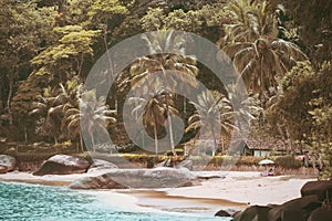 Brazilean tropical beach