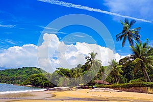 Brazilean tropical beach