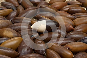 Brazilian Baru nut castanha de baru photo