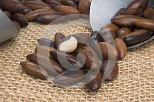 Brazilian Baru nut castanha de baru with   grain scoop in jute background photo