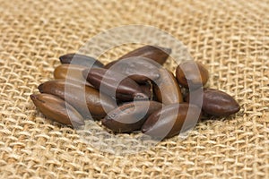 Brazilian Baru nut castanha de baru in jute background photo
