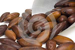 Brazilian Baru nut castanha de baru with   grain scoop in white background photo