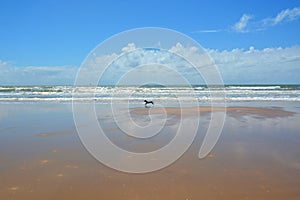 The brazilian beach Orla de Atalaia in the capital,Aracaju,Sergipe