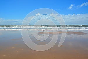 The brazilian beach Orla de Atalaia in the capital,Aracaju,Sergipe