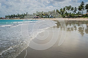 Brazilian Beaches-beach of Carneiros, Pernambuco