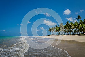 Brazilian Beaches-beach of Carneiros, Pernambuco