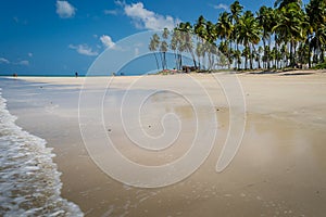 Brazilian Beaches-beach of Carneiros, Pernambuco