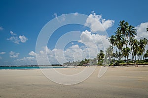 Brazilian Beaches-beach of Carneiros, Pernambuco