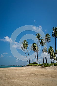 Brazilian Beaches-beach of Carneiros, Pernambuco