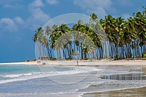 Brazilian Beaches-beach of Carneiros, Pernambuco photo