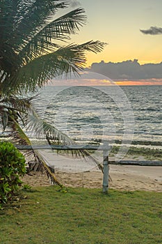 Brazilian Beaches-Pontal do Coruripe, Alagoas