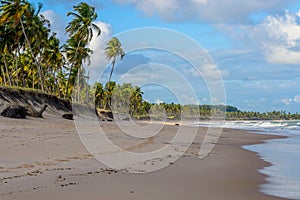 Brazilian Beaches-Pontal do Coruripe, Alagoas