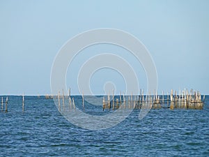 Brazilian Blue Ocean I