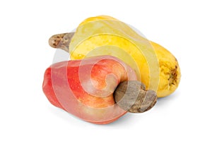 Brazilian Caju Cashew Fruit