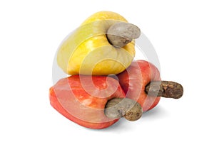 Brazilian Caju Cashew Fruit photo