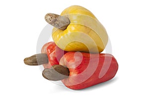 Brazilian Caju Cashew Fruit photo