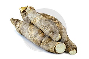 Brazilian cassava, a species of tuberous plant in the Euphorbiaceae family. Isolated white background