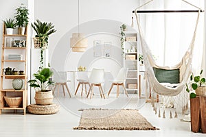 Dining room with plants photo