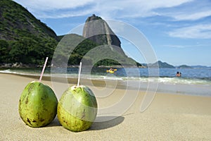 Brazilian Coco Gelado Coconuts Red Beach Rio de Janeiro