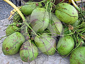 Brazilian coconuts agua de coco photo