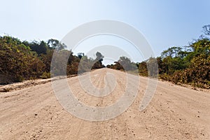 Brazilian dirt road in perspective