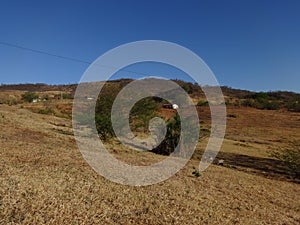 Brazilian Farm in Backwood Landscape - Nordeste