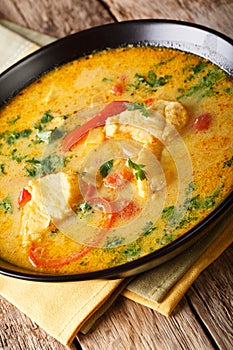 Brazilian food: Moqueca Baiana of fish and bell peppers in spicy