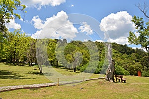 Brazilian forest in the sun, Serra Park,  Canela, Brazil