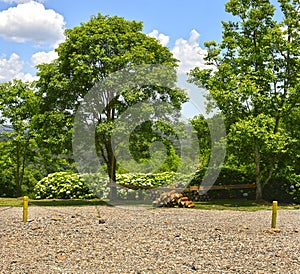 Brazilian forest in the sun, Serra Park,  Canela, Brazil