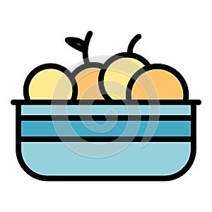 Brazilian fruit icon vector flat