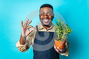 brazilian gardener man holding garden items in studio blue background