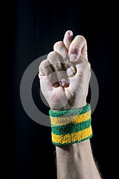 Brazilian Good Luck Figa Hand Sign