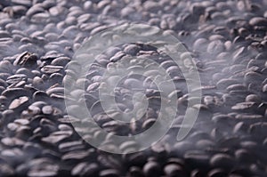 Brazilian hot coffee seeds background with smoke for coffee shop