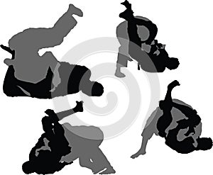 Brazilian Jiujitsu - Triangle Choke