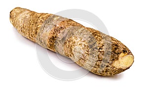 Brazilian manioc, a vegetable used in Brazilian cuisine, called macaxeira, photo