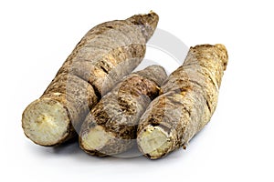 Brazilian manioc, a vegetable used in Brazilian cuisine, called macaxeira, photo