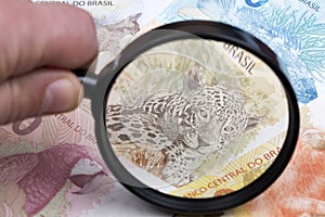 Brazilian money in a magnifying glass
