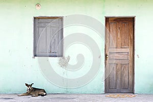 Brazilian Nordeste Village Architecture with Dog
