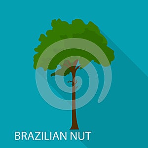 Brazilian nut icon, flat style