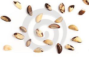 Brazilian Nuts Close-up photo. Castanha do Para photo