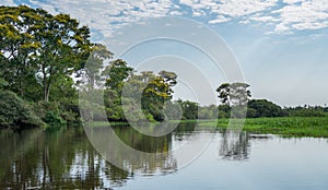 Brazilian Panantal and river