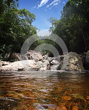 Brazilian River